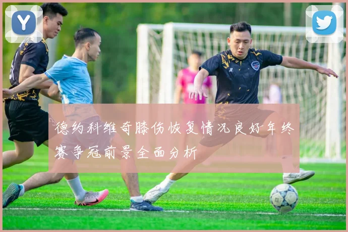 德约科维奇膝伤恢复情况良好年终赛争冠前景全面分析