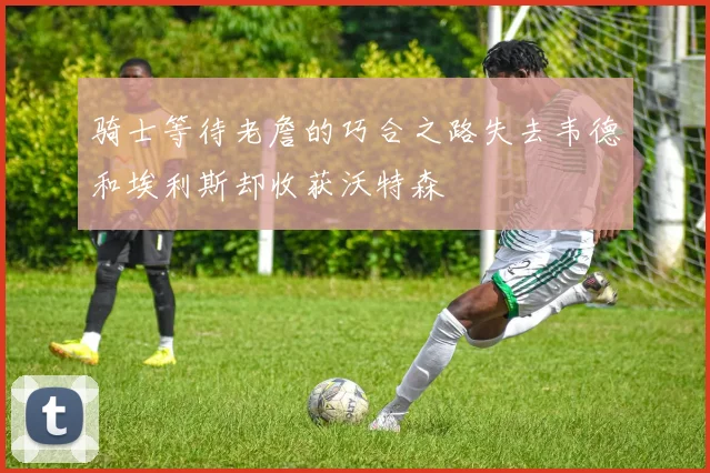 骑士等待老詹的巧合之路失去韦德和埃利斯却收获沃特森